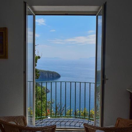 Il Giardino Selvatico Di Succellario - Apartments Barano dʼIschia Eksteriør bilde