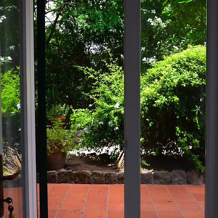Il Giardino Selvatico Di Succellario - Apartments Barano dʼIschia Eksteriør bilde