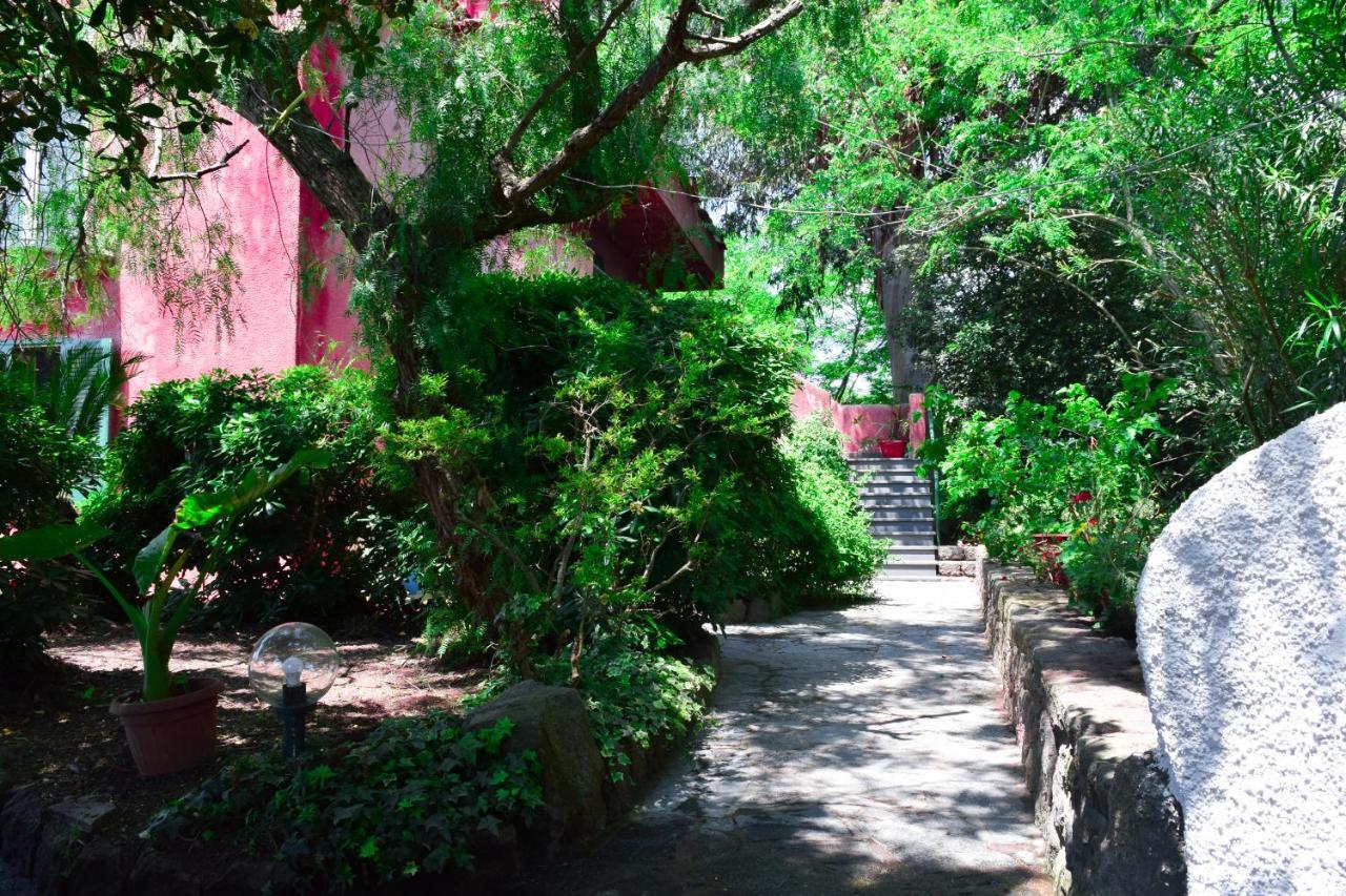 Il Giardino Selvatico Di Succellario - Apartments Barano dʼIschia Eksteriør bilde