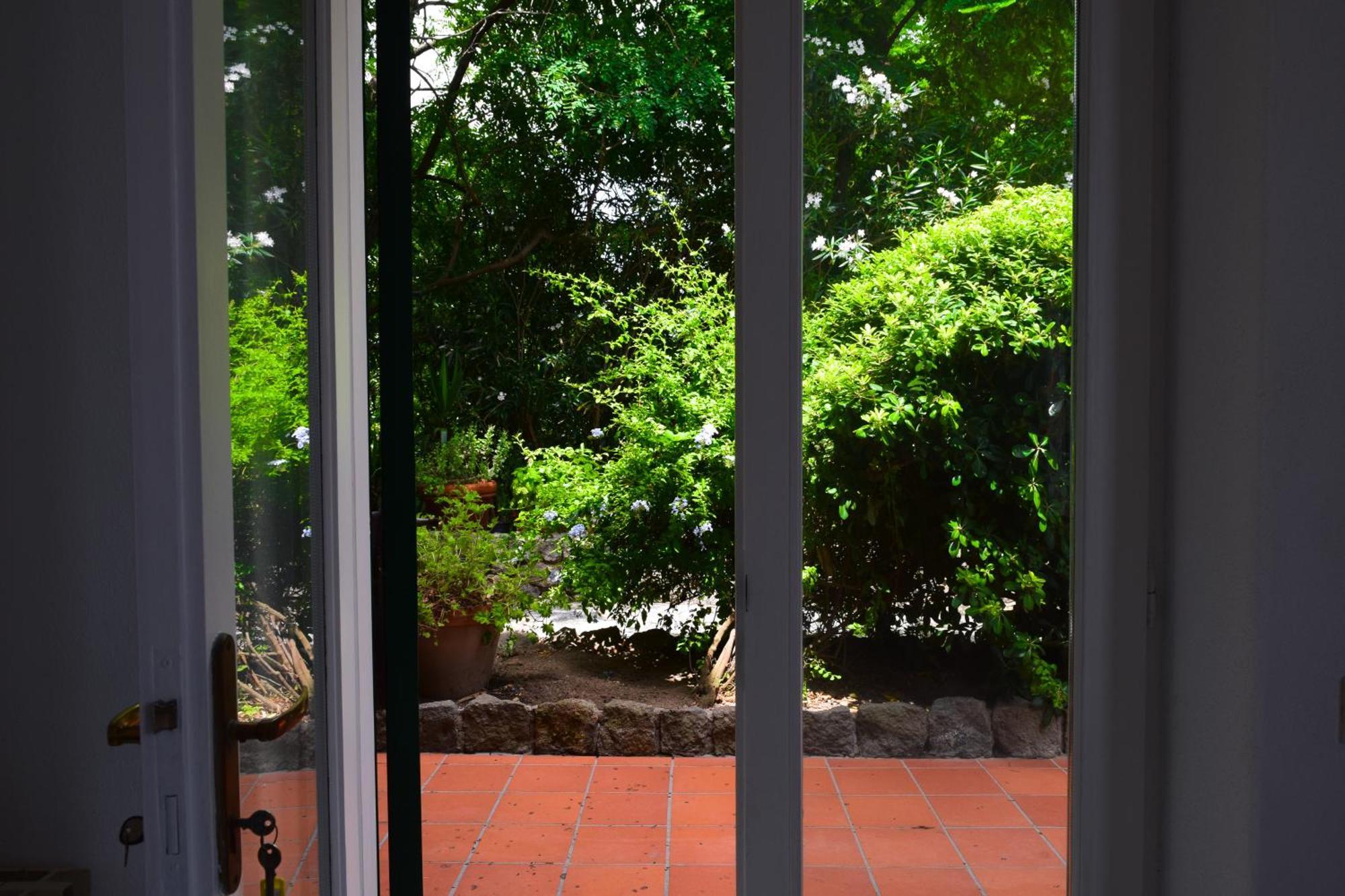 Il Giardino Selvatico Di Succellario - Apartments Barano dʼIschia Eksteriør bilde