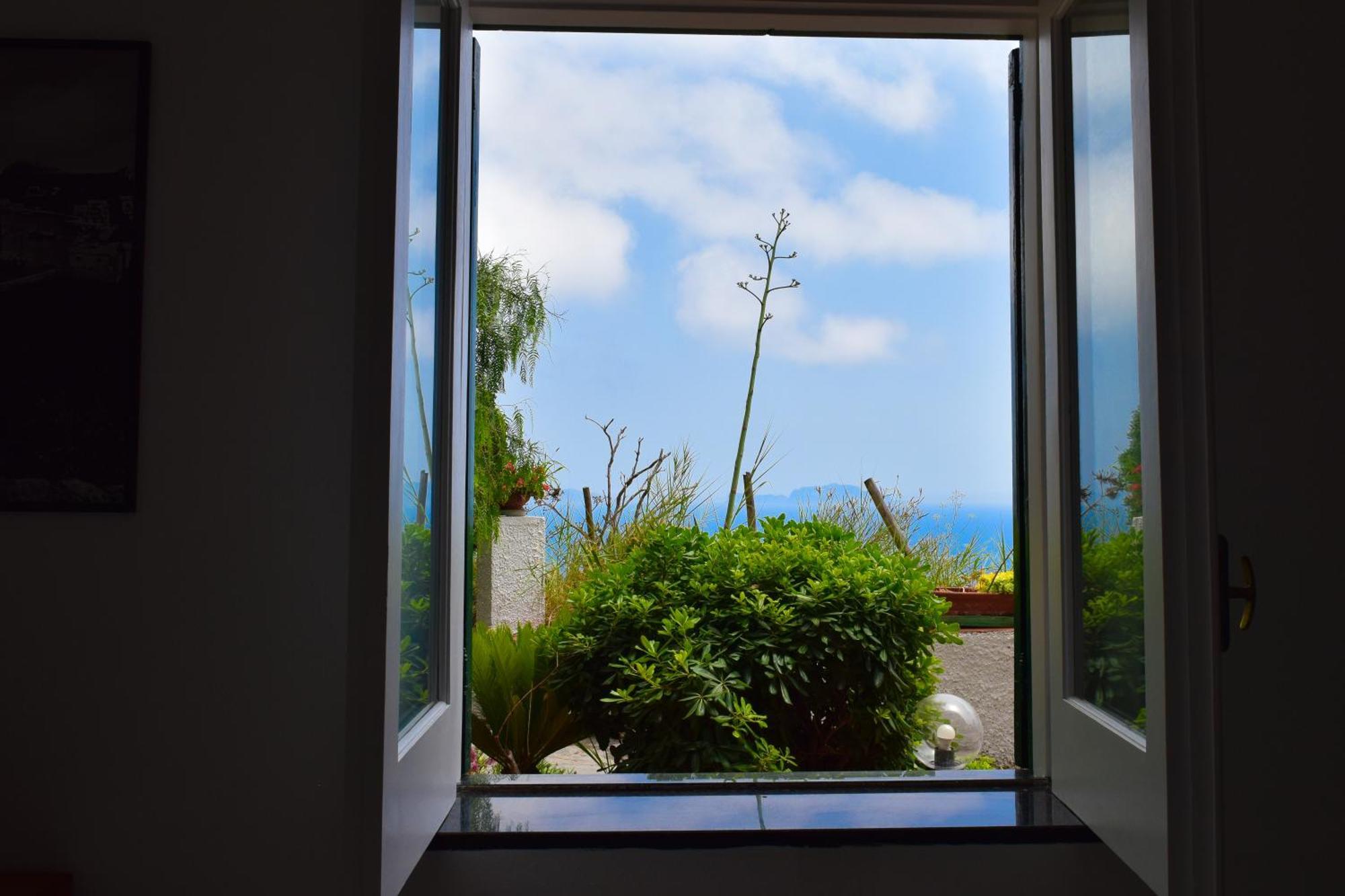 Il Giardino Selvatico Di Succellario - Apartments Barano dʼIschia Eksteriør bilde